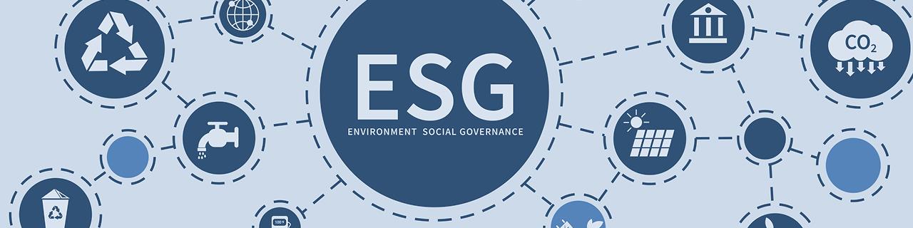 50 7965 Banner Mutzar Esg 022