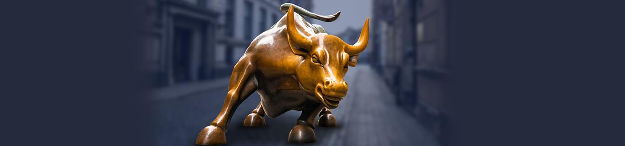 תיק השקות סולידי